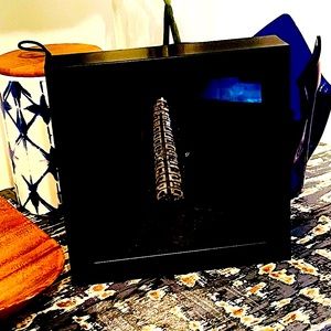 Orthoceras fossil framed